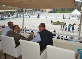 «الجيزة» تحتضن البطولة الدولية الأولى لجمال الخيول العربية المصرية