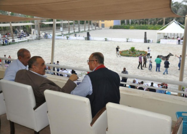 «الجيزة» تحتضن البطولة الدولية الأولى لجمال الخيول العربية المصرية