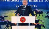 Erdoğan: Qatari emir sent 53 Arabian horses to Turkey