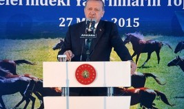 أمير دولة قطر يهدي الرئيس التركي أردوغان 53 من الخيل العربية الأصيلة