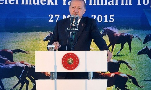 أمير دولة قطر يهدي الرئيس التركي أردوغان 53 من الخيل العربية الأصيلة