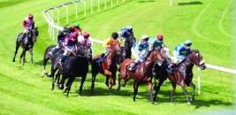 مهرجان منصور بن زايد للخيول العربية يحصل على شهادة “الايزو”