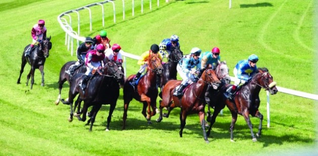 مهرجان منصور بن زايد للخيول العربية يحصل على شهادة “الايزو”