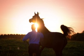 هل خيولك سعيدة؟