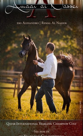 Prepare to meet Excellence in Menton