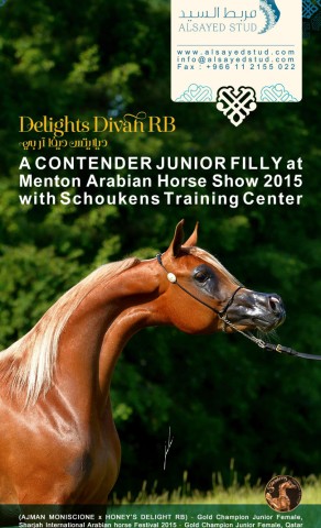 The one & only DELIGHT’S DIVAH RB