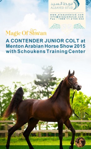 Who said Menton can’t be MAGICAL??