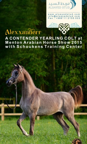 Menton, get ready for the new Champion