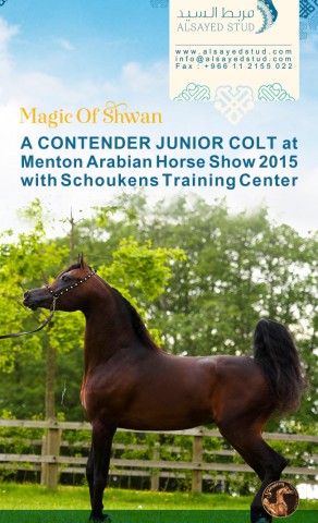 Get ready for some MAGIC