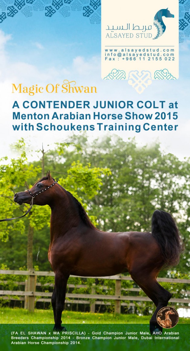 Get ready for some MAGIC