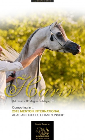 ES Harir – Competing in MENTON 2015 Championship