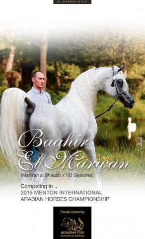 Baahir El Marwan – Competing in MENTON 2015 Championship