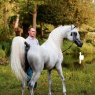 Menton Arabian Horse Show 2015 Results & Pictures