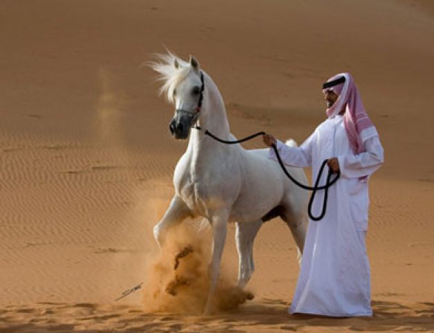 إي-إس ناتسر ابال