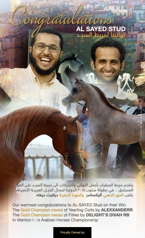 مربط الصقران يهنئ مربط السيــد