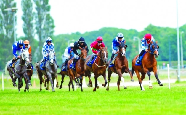 المهر «هندسة» يفوز بجائزة حمدان بن راشد للخيول العربية في هولندا