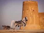 سياحة في حديث: “اركَبوها سالمةً ودَعُوها سالمةً…”