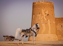 سياحة في حديث: مثل المؤمن ومثلُ الإيمان كمثَل الفرسِ في آخِيَّتِه…”