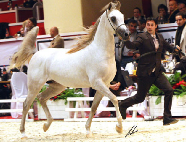 شنان المدان