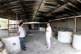 نفوق 9 خيول عربية أصيلة حرقاً بالبحرين بسبب ماس كهربائي