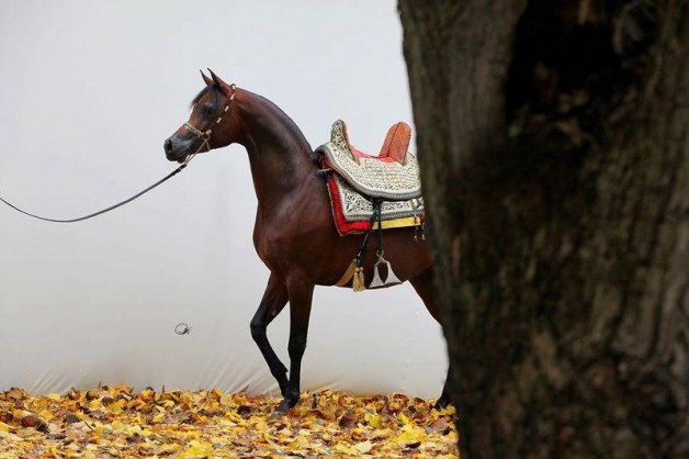 سياحة في حديث: ” إيَّاكم أن تتَّخذوا ظُهورَ دوابِّكم منابرَ…”