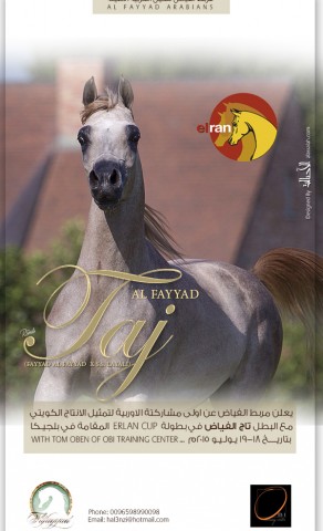 يعلن مربط الفياض عن اولى مشاركتة الاوربية