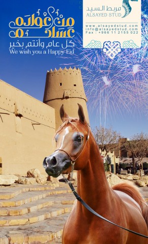 كل عام وأنتم بخير وعساكم من عواده