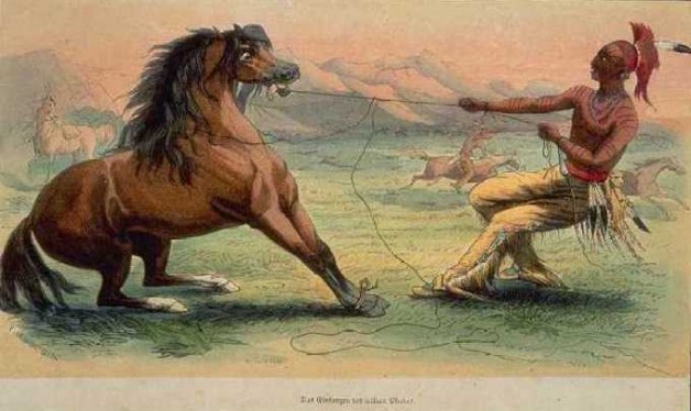 فن تدريب (ترويض) الخيل