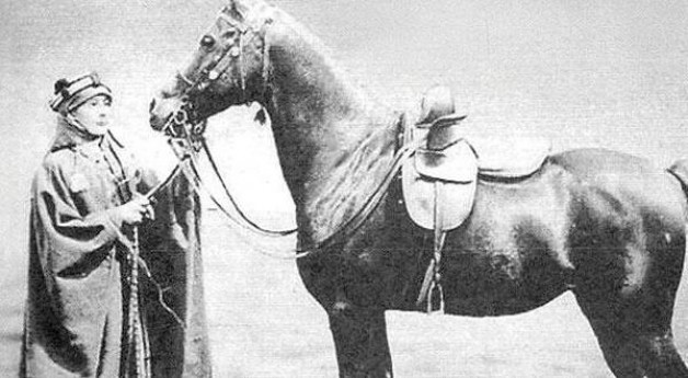 “آل بلنت” .. اهتمام بالخيل العربية وحب لها