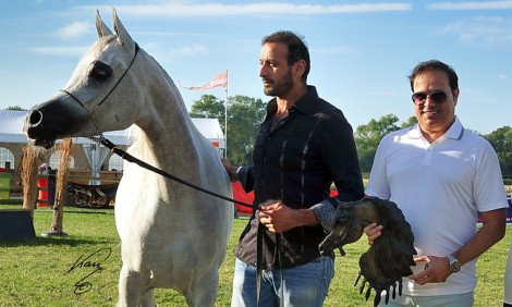 جياد «الصقران» و«عذبه» و«الشقب» و«دبي» و«السيـد» و«الخالدية» و«الخشاب» تواصل رحلة حصد الألقاب الأوربية – نتائج بطولة (ويست كوست 2015) ببلجيكا