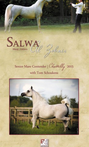 Salwa Al Zobair – Chantilly contender