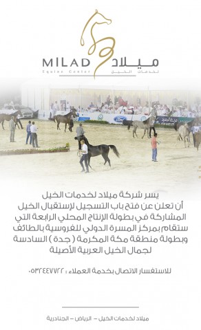 ميلاد | بدء استقبال الخيل المشاركة ببطولة المنتجين وبطولة جده