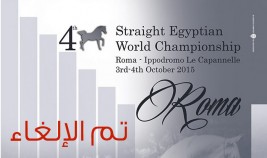 إلغاء إقامة بطولة العالم للسلالة المصرية الرابعة