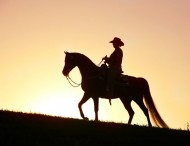 قصة مثل: الخيل تجري على مساويها