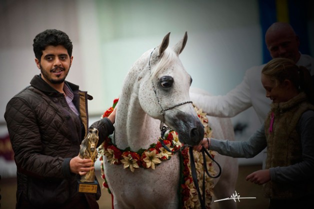في بريطانيا: «المعود» يسطر إنجازاً جديداً بذهبية (نورما) و«الخالدية» يتلألأ.. ويفخر.. بذهب الذكور