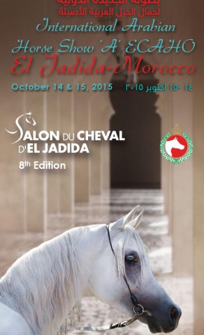 بطولة الجديدة الدولية لجمال الخيل العربية الأصيلة