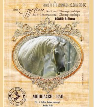 فتح التسجيل في بطولة مصر الدولية لجمال الخيول العربية ٢٠١٥