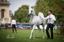 «الجوزاء» و«الشقب» و«عذبه» يستحوذون على الذهب الإيطالي في (سيتا دي كاستيلو) و«دبي» بالفضة – النتائج