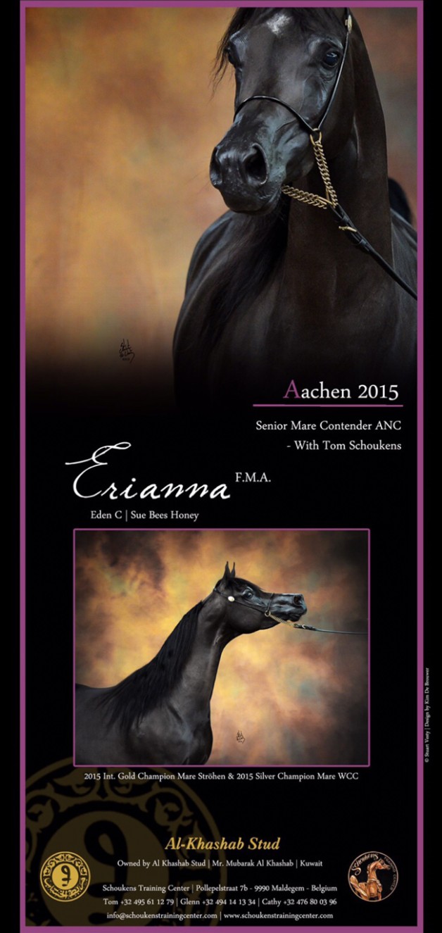 Aachen 2015 Senior Mare Contender ANC With Tom Schoukens