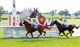 «غالب» ينتزع كأس زايد للخيول العربية