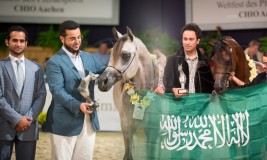 «اليكساندر» و «بنقا» و «فلامنكا» الأكثر إثارة و فضتهم! مذهبة بآخن ٢٠١٥