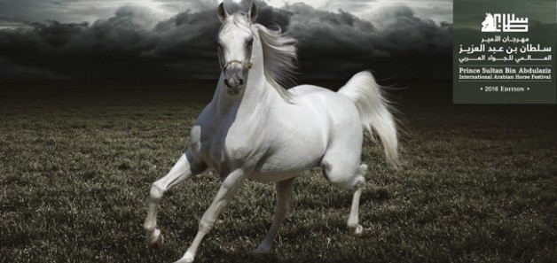 مهرجان الأمير سلطان العالمي