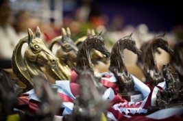 خيول الإمارات تشارك في البطولة الدولية لجمال الخيل بالمغرب