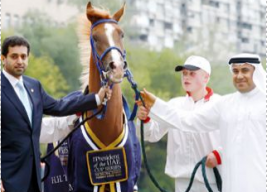 المهيري: هدفنا إبراز هوية الخيل العربية وتعريف العالم بإرث الأجداد