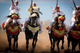 الخيول البربرية..3000 سنة من الحكايات خلال الدورة الثامنة لمعرض الفرس