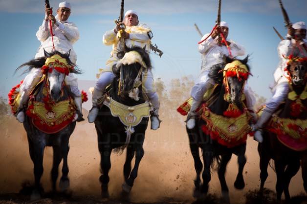 الخيول البربرية..3000 سنة من الحكايات خلال الدورة الثامنة لمعرض الفرس