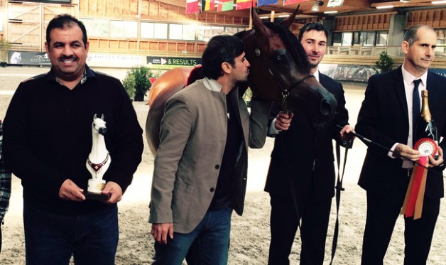 «الشيحانية» يتباهى و «الخشاب» يسطر الأمجاد بذهب (دوڤيل) الفرنسي لجمال الخيل العربية