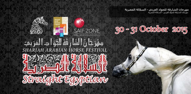 انطلاق مهرجان الشارقة للجواد العربي بالسلالة المصرية غداً