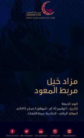 مزاد خيل مربط المعود