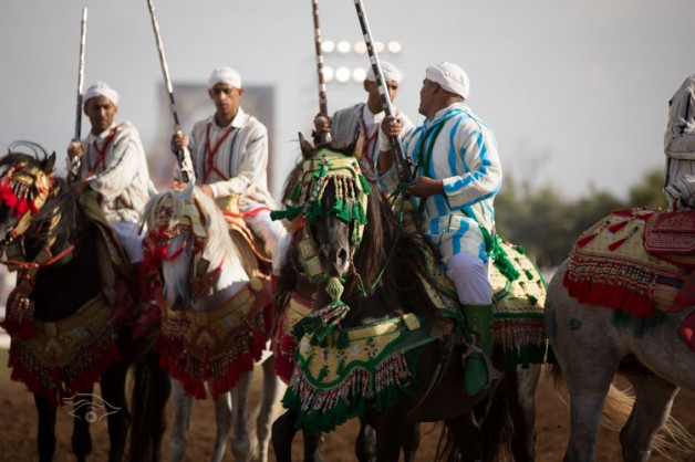 سروج الـ “التبوريدة” بالمغرب.. زينة الخيل والخيّال